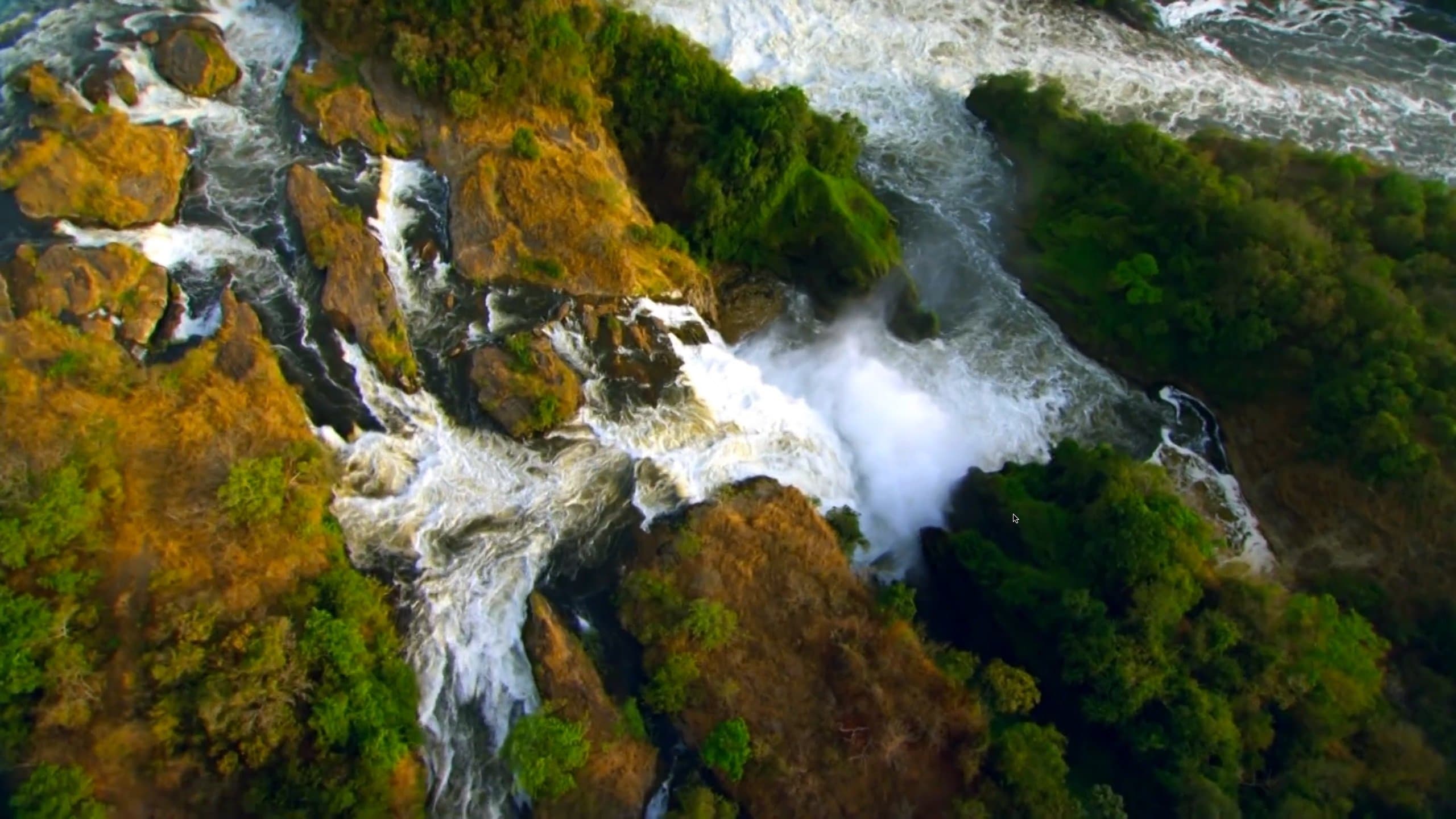 Wild Waters
