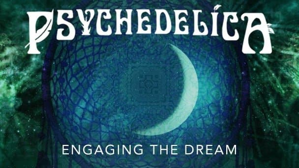 Engaging the Dream