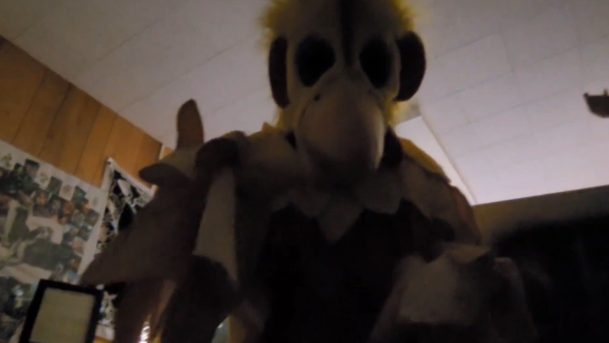 The Mascot