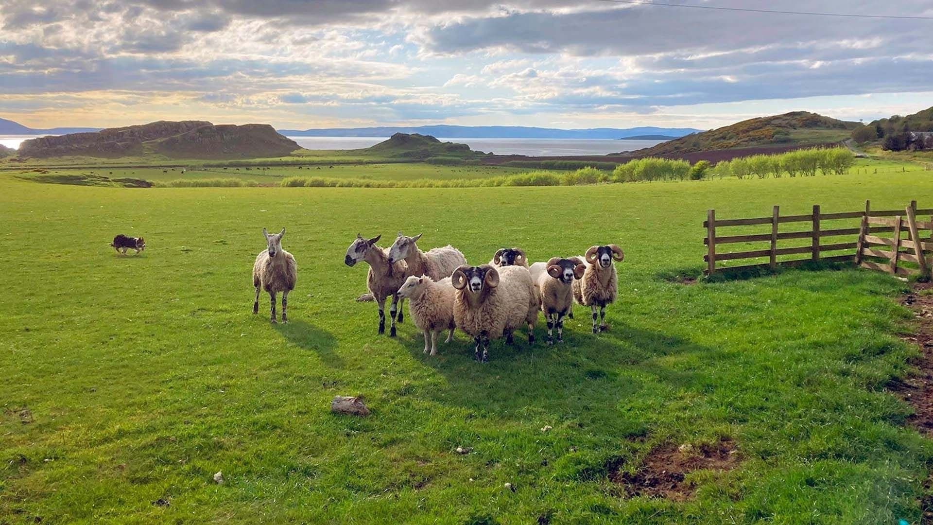 Unterwegs in Schottland