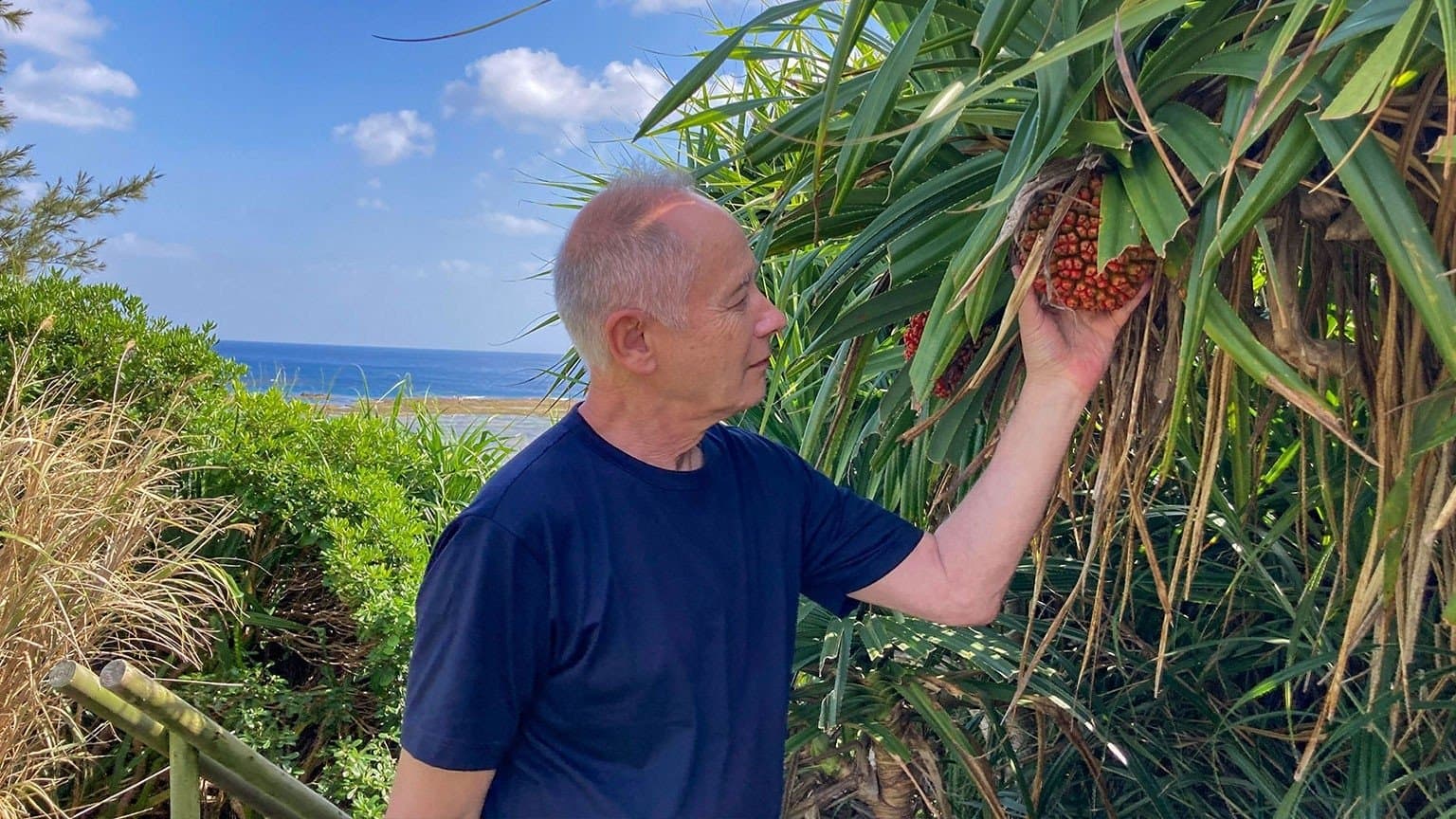 AMAMI OSHIMA: Isson's Treasure Island