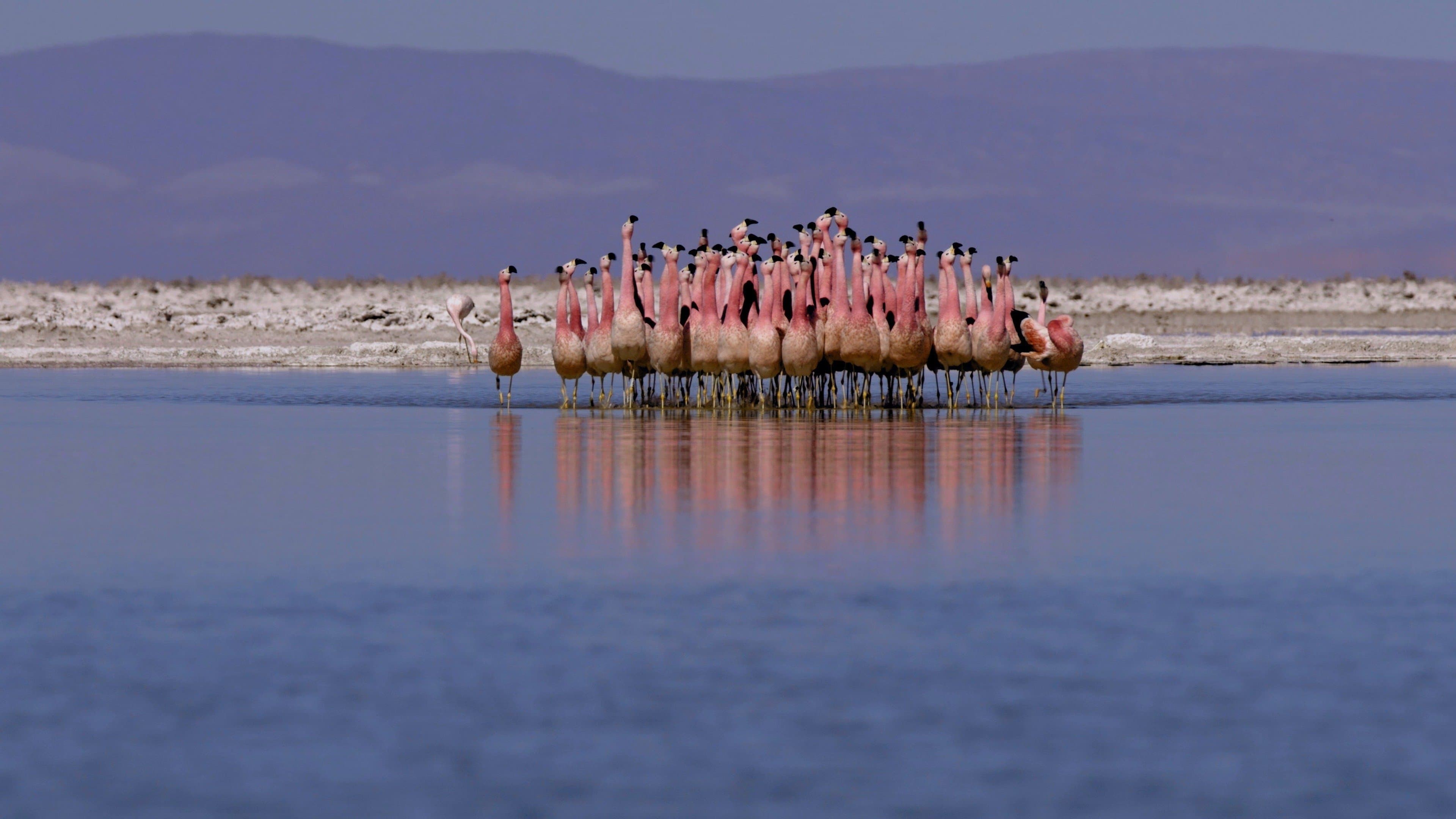 Atacama, Chile
