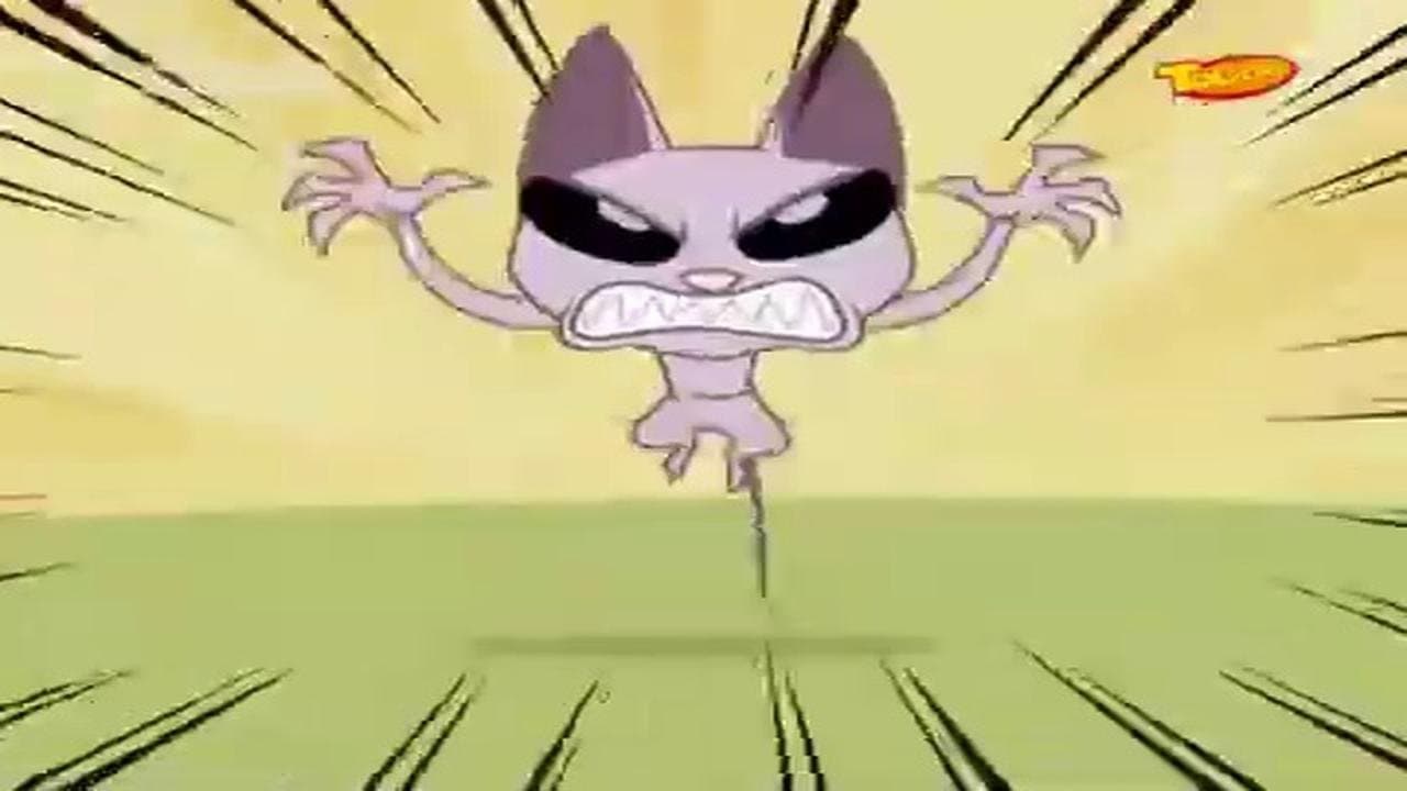 Hack Kattack
