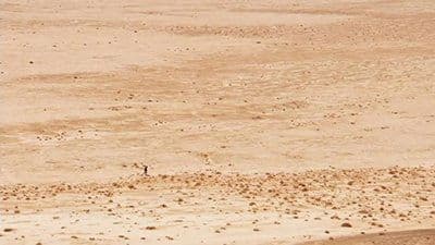 Desert