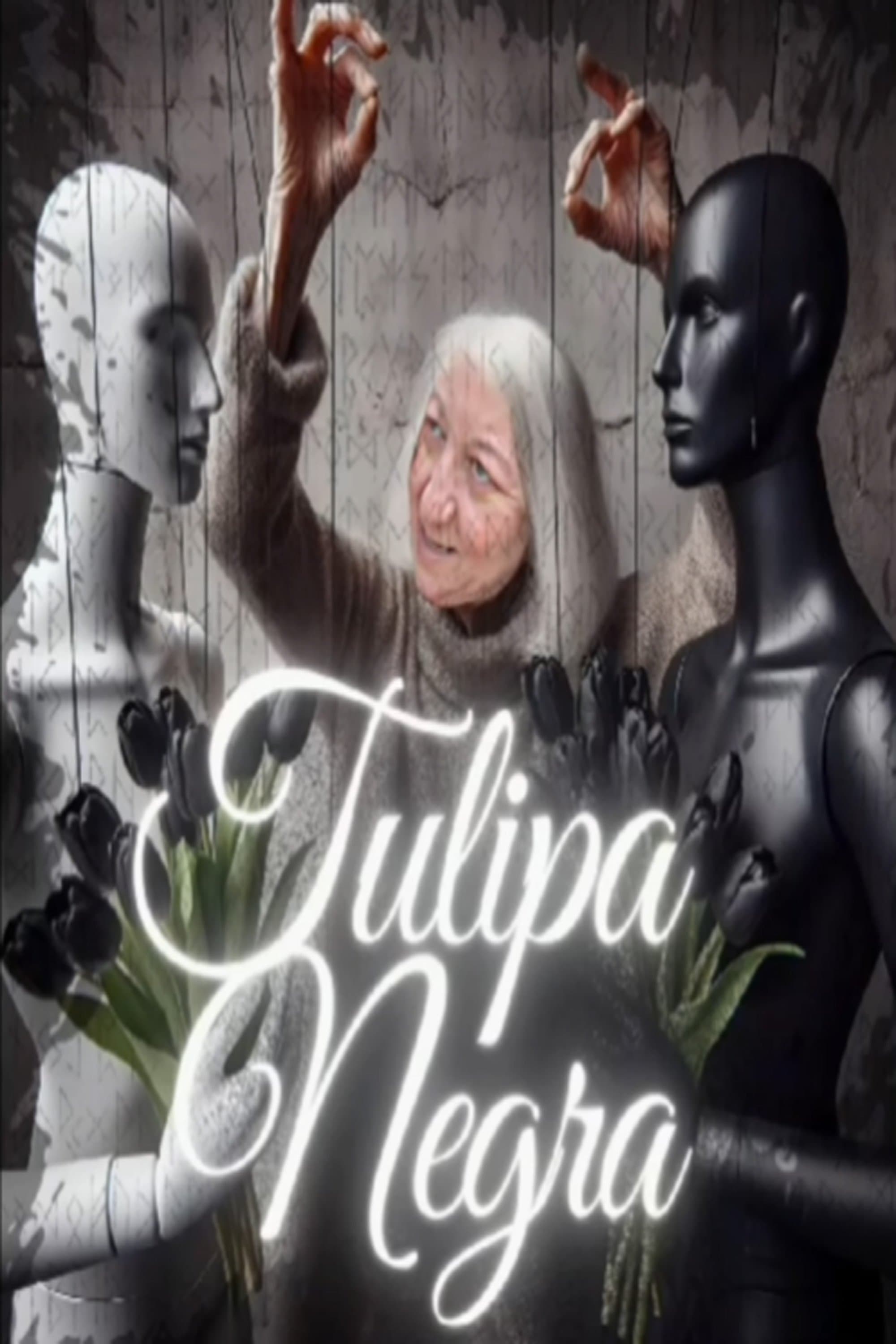 Tulipa Negra