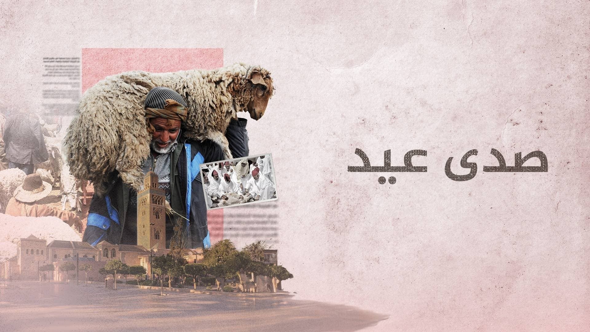 ‏صدى عيد