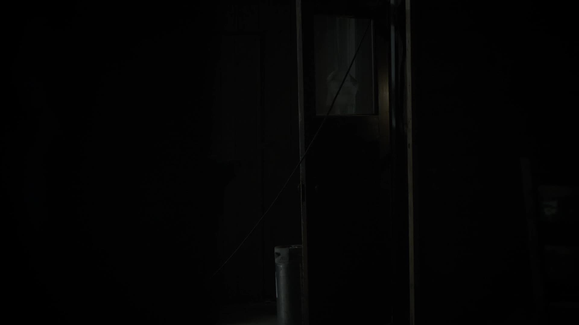 The Asylum