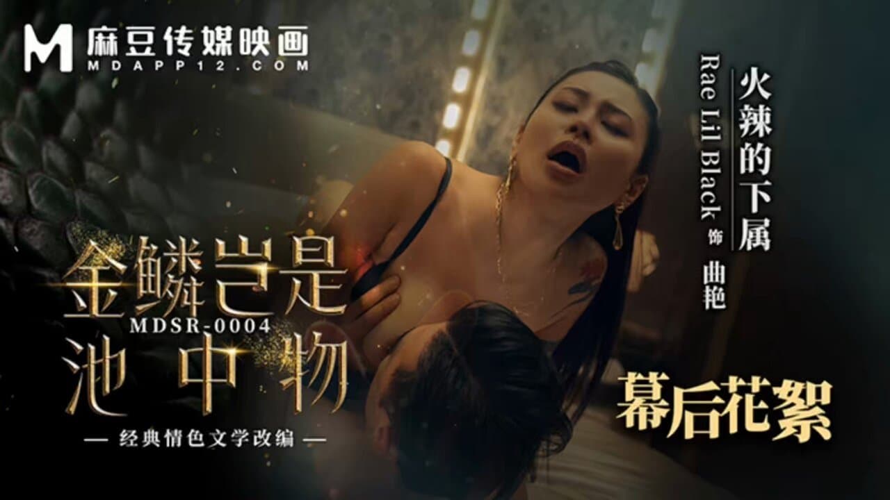 JIN LIN LOVE STORY