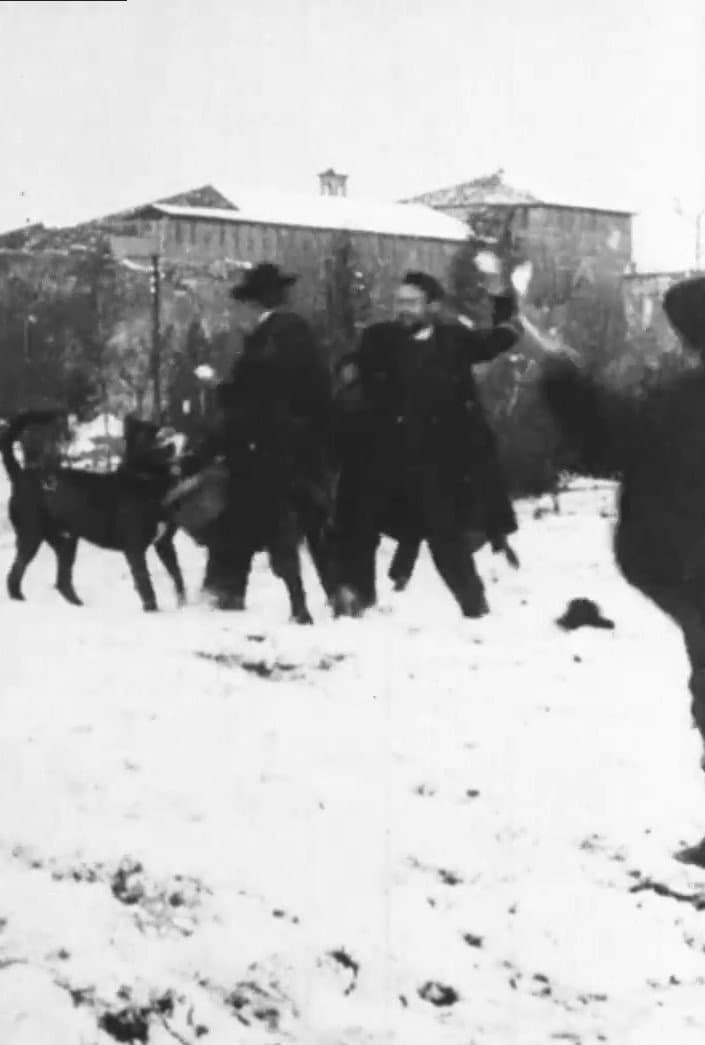 Snowball Fight