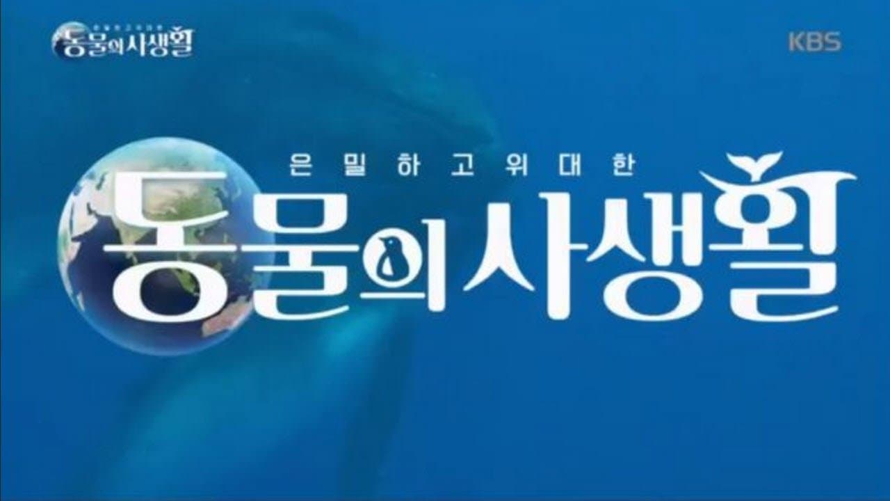 Secrets of Wildlife