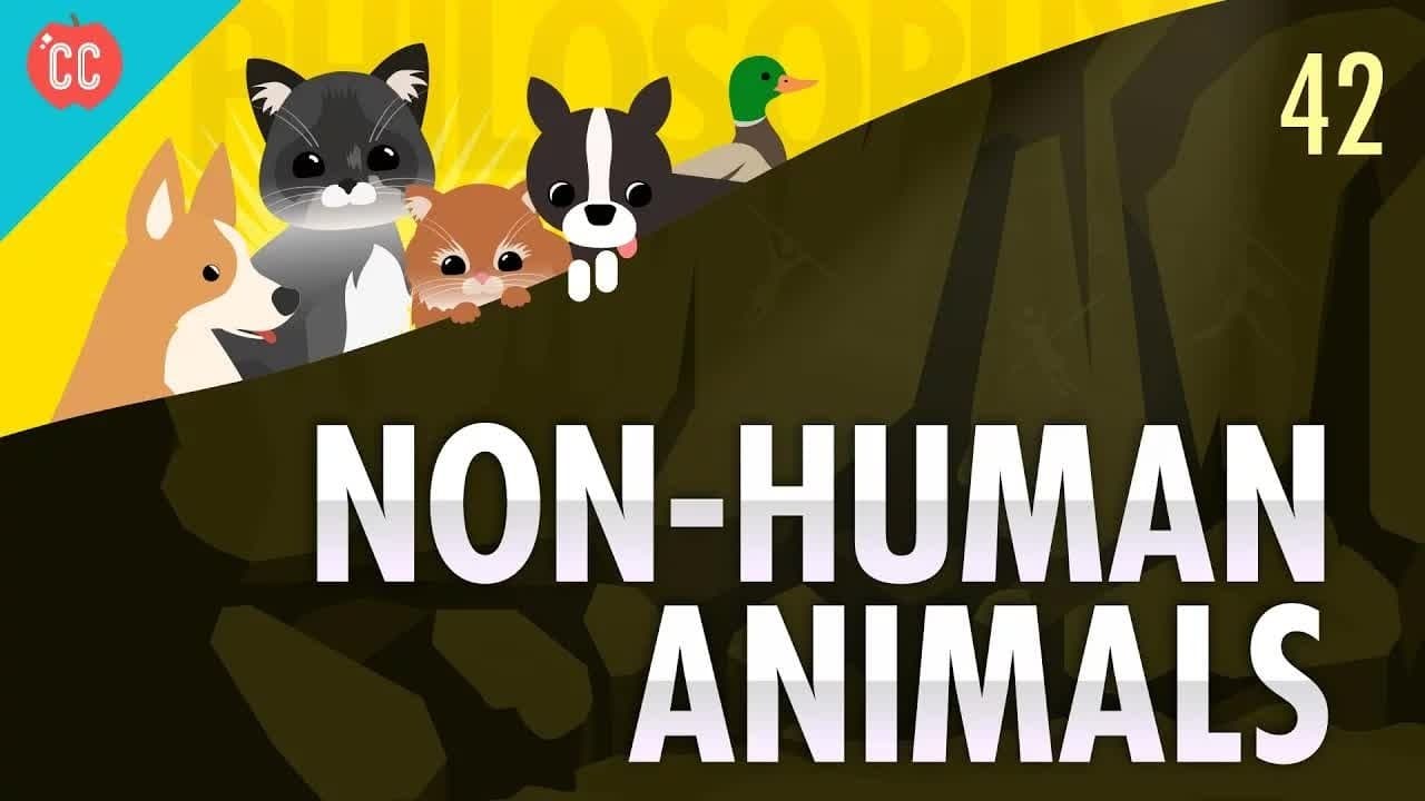 Non-Human Animals