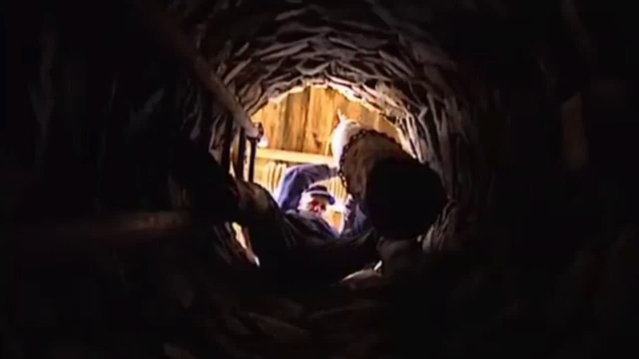 Episode 28