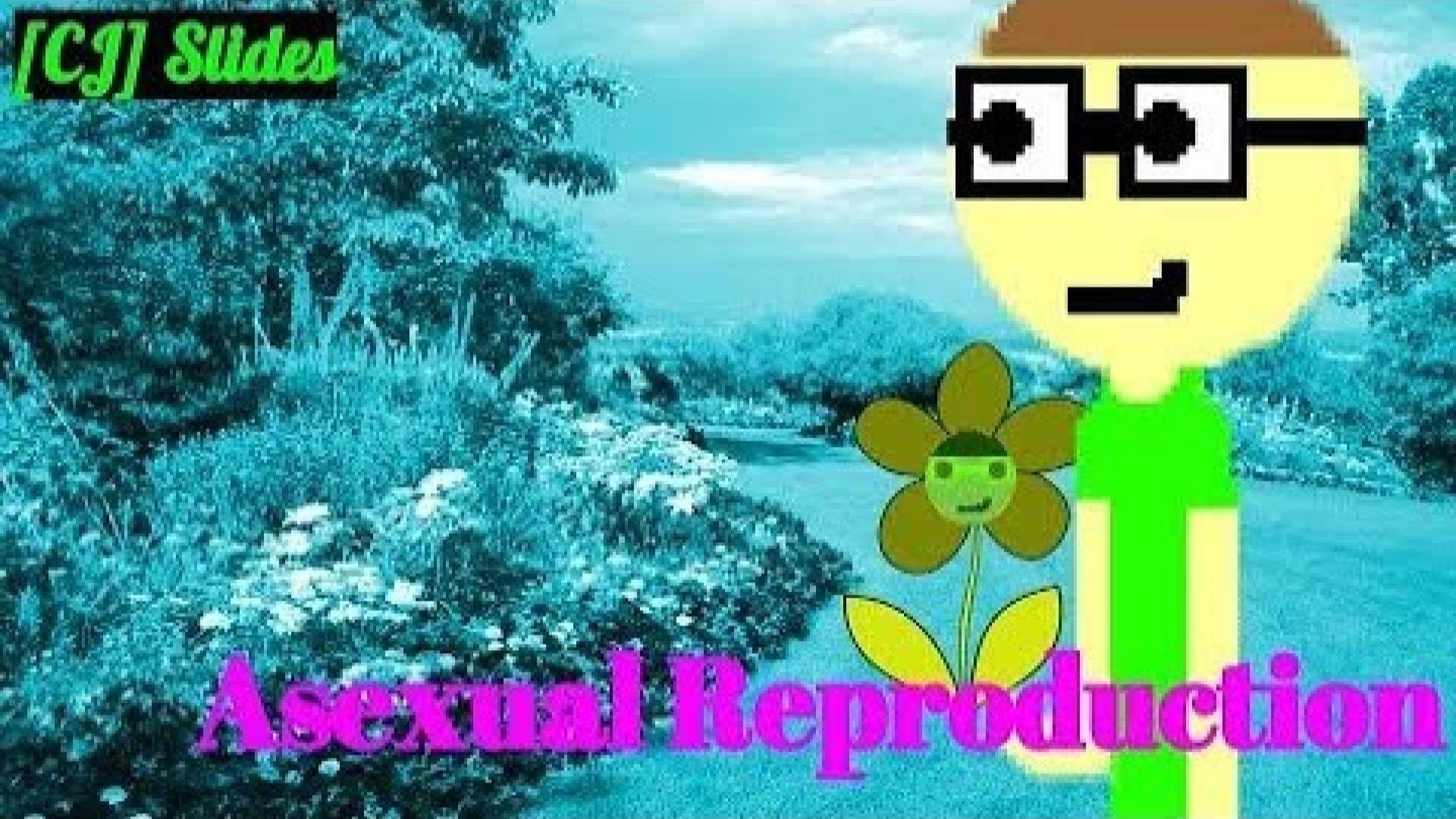 Asexual Reproduction