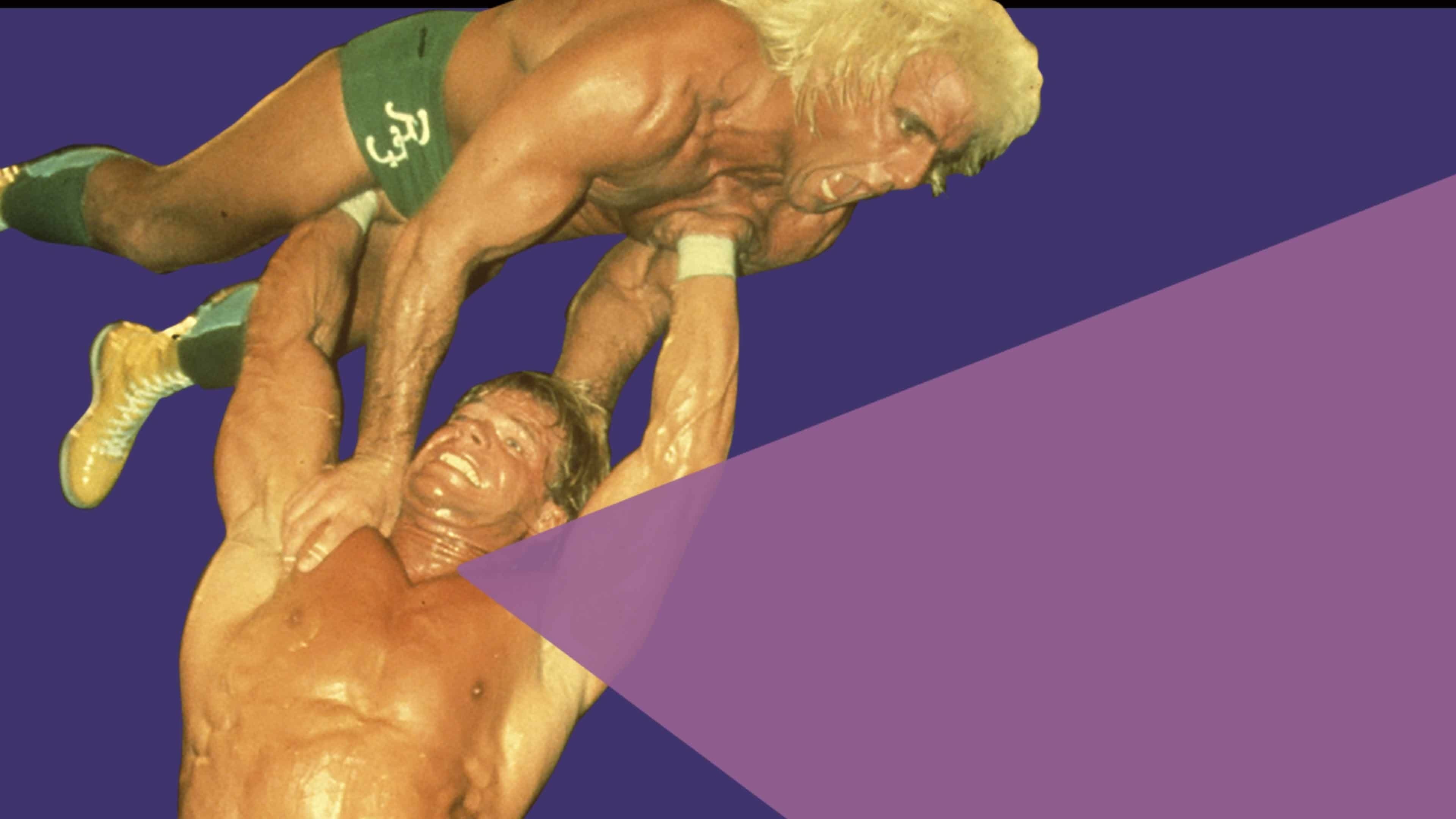 NWA The Great American Bash '88: The Price for Freedom