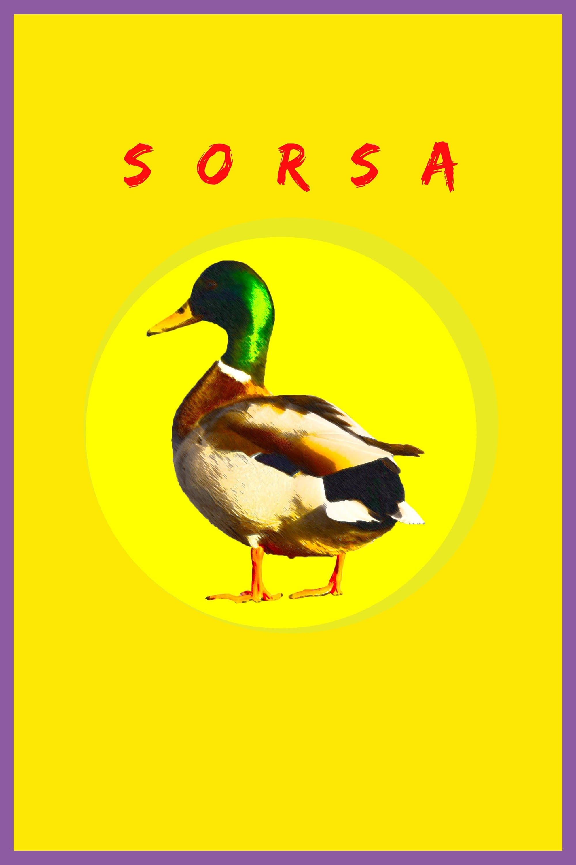Wild Duck