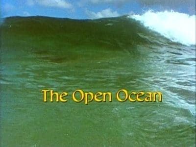 The Open Ocean