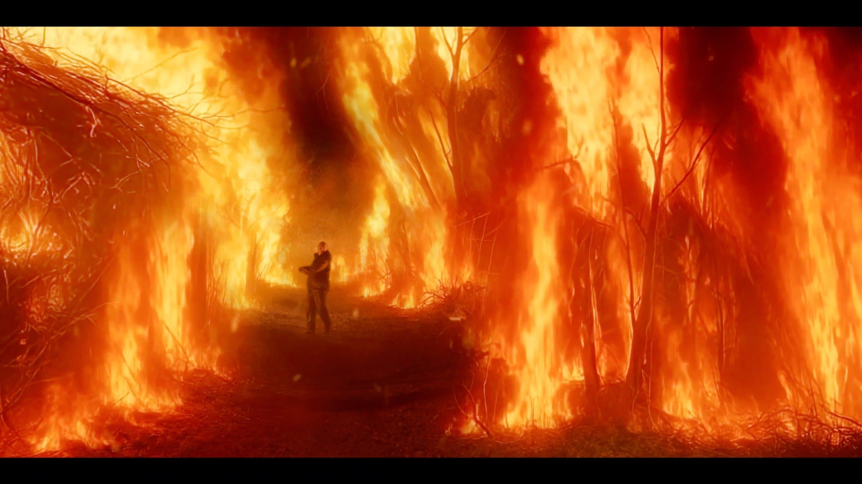 Embers