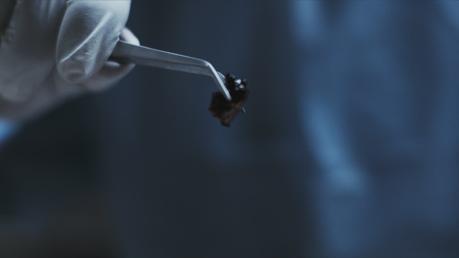 One Shot