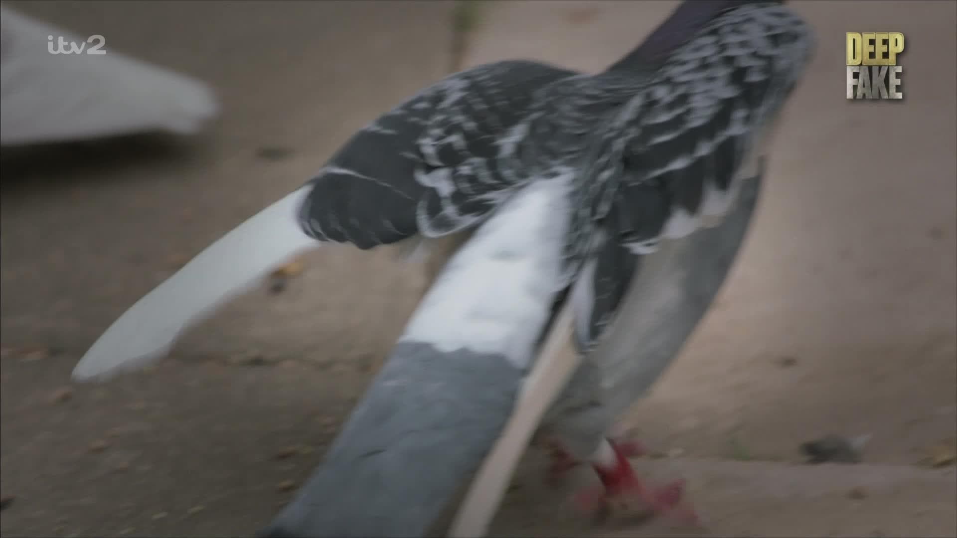 Episode 2