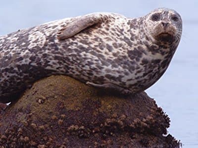 Monterey Bay Marine Sanctuary
