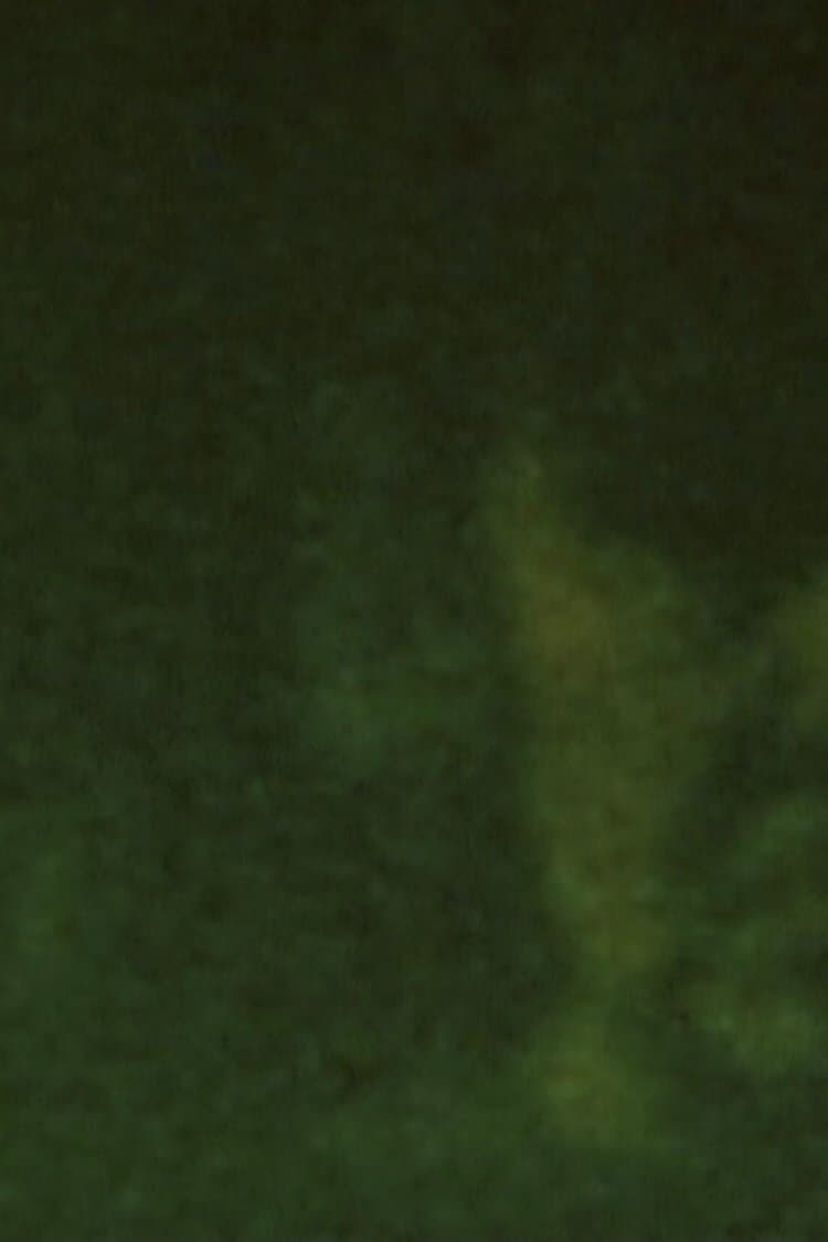 Song 29