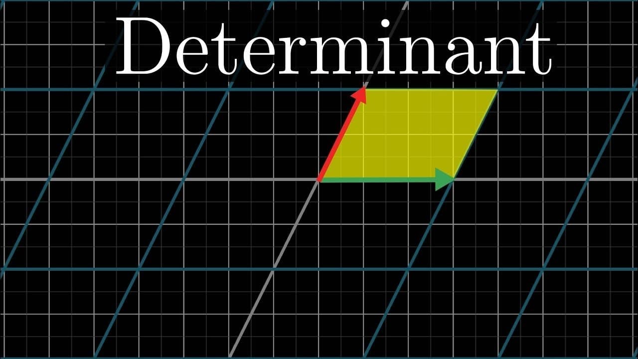 The determinant