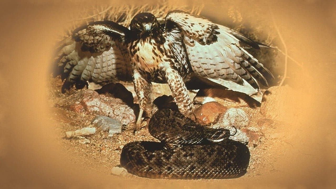 Merveilles de la nature