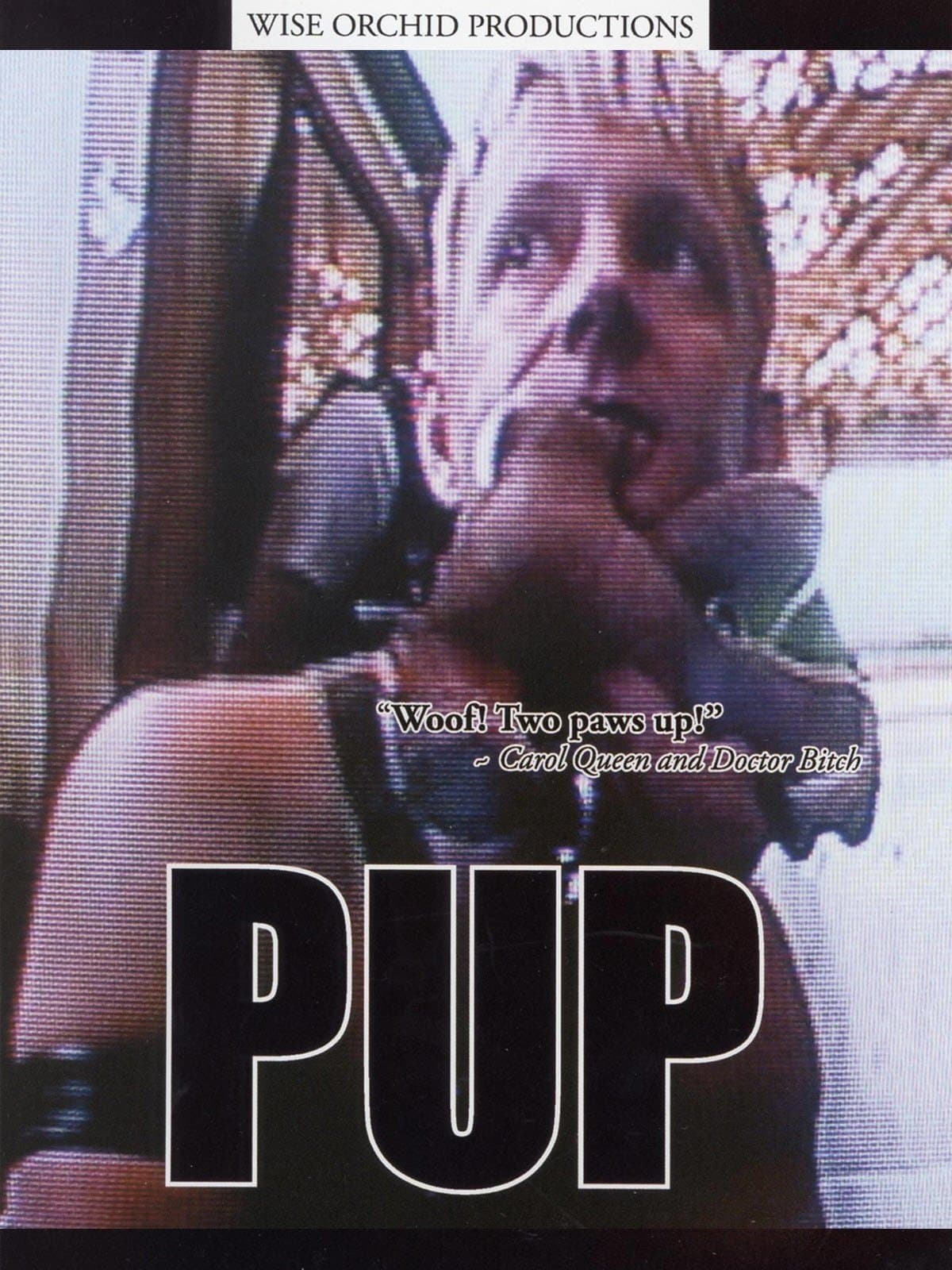 Pup