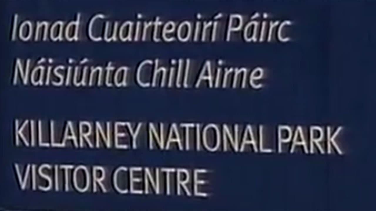 In which Manchán travels to Cork and Killarney