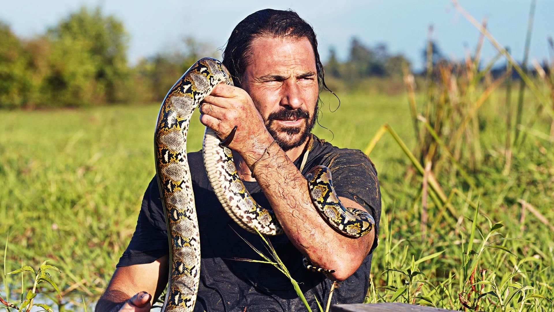Land of the Python