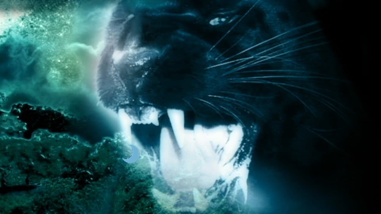 Night Creature