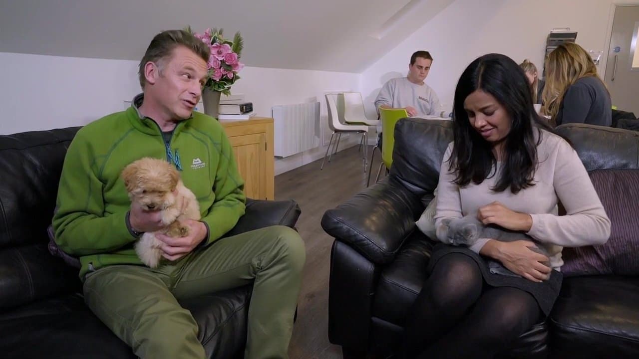 Episode 2