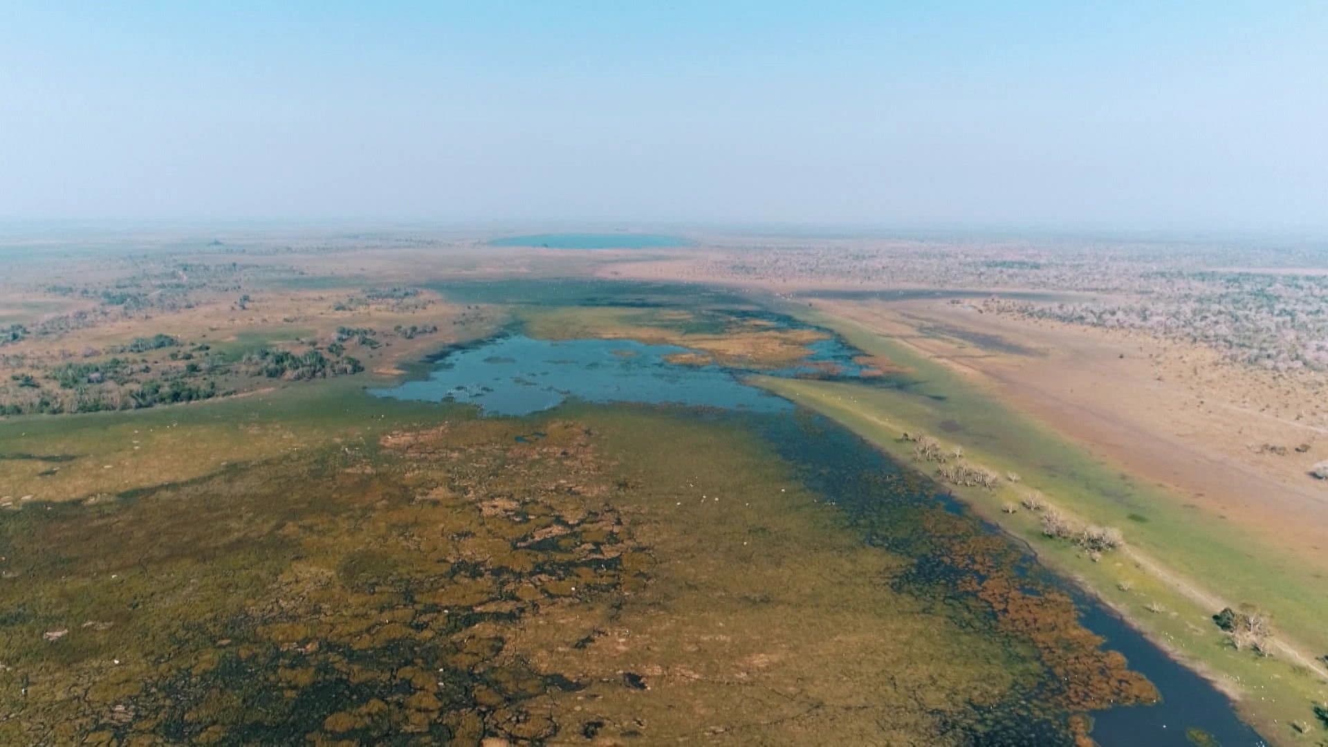 Lost Jungle Civilisation