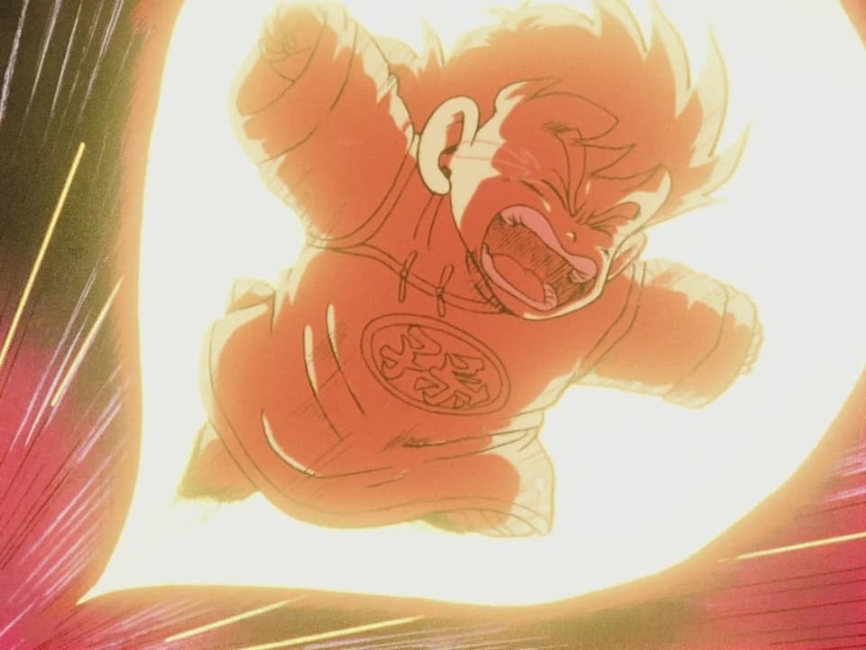 Gohan's Rage