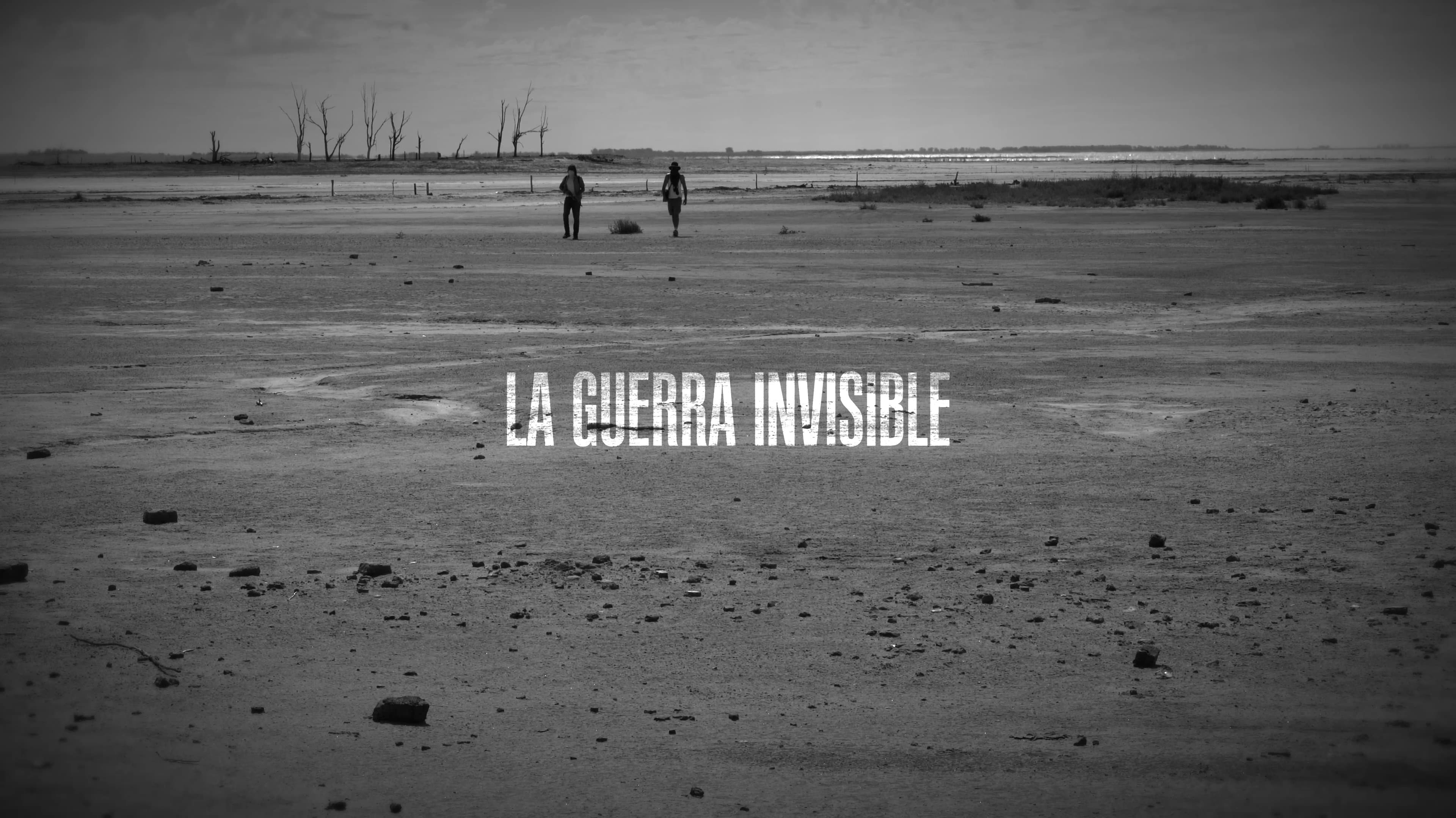 The Invisible War