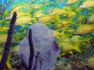 Bahamas: Exuma Cays