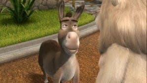 Donkey