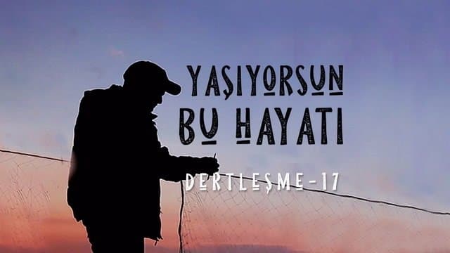 Episode 17
