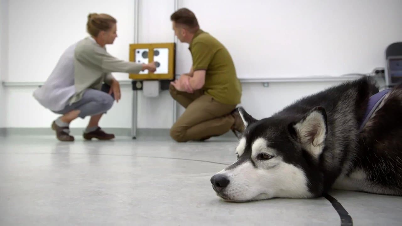 Episode 1