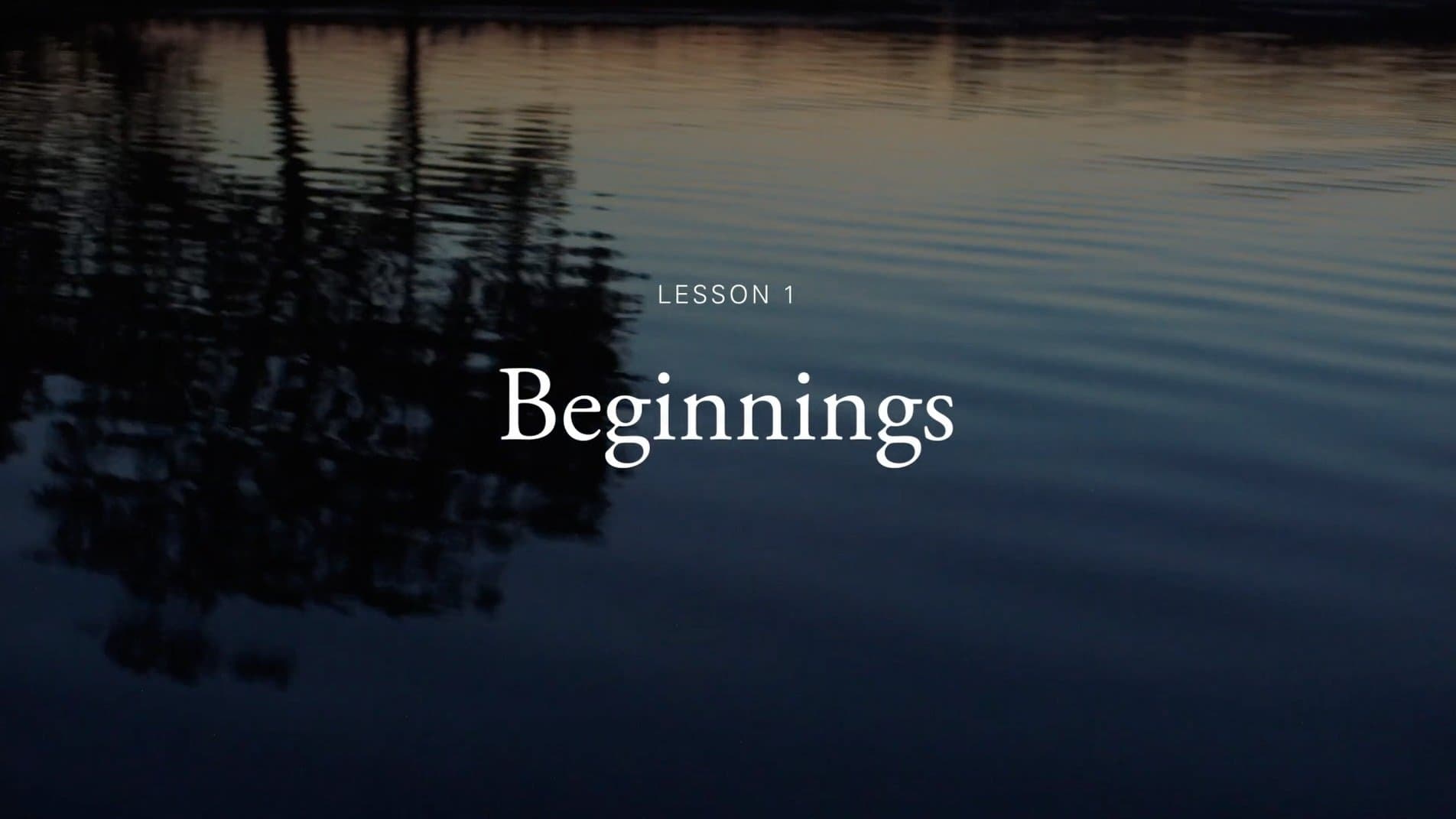 Beginnings