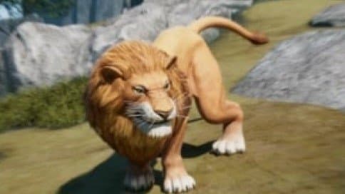 Tyrannosaurus VS Lion