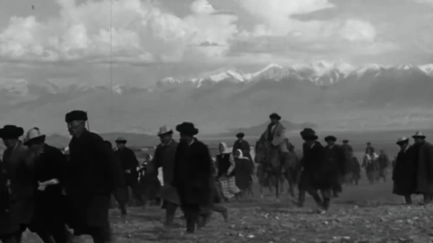 Mother's Field