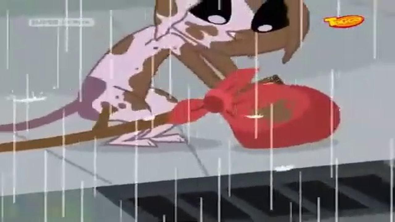 Storm Drained