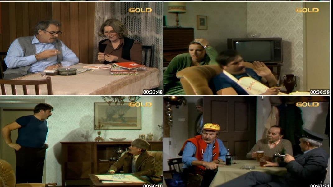 Solidarnost