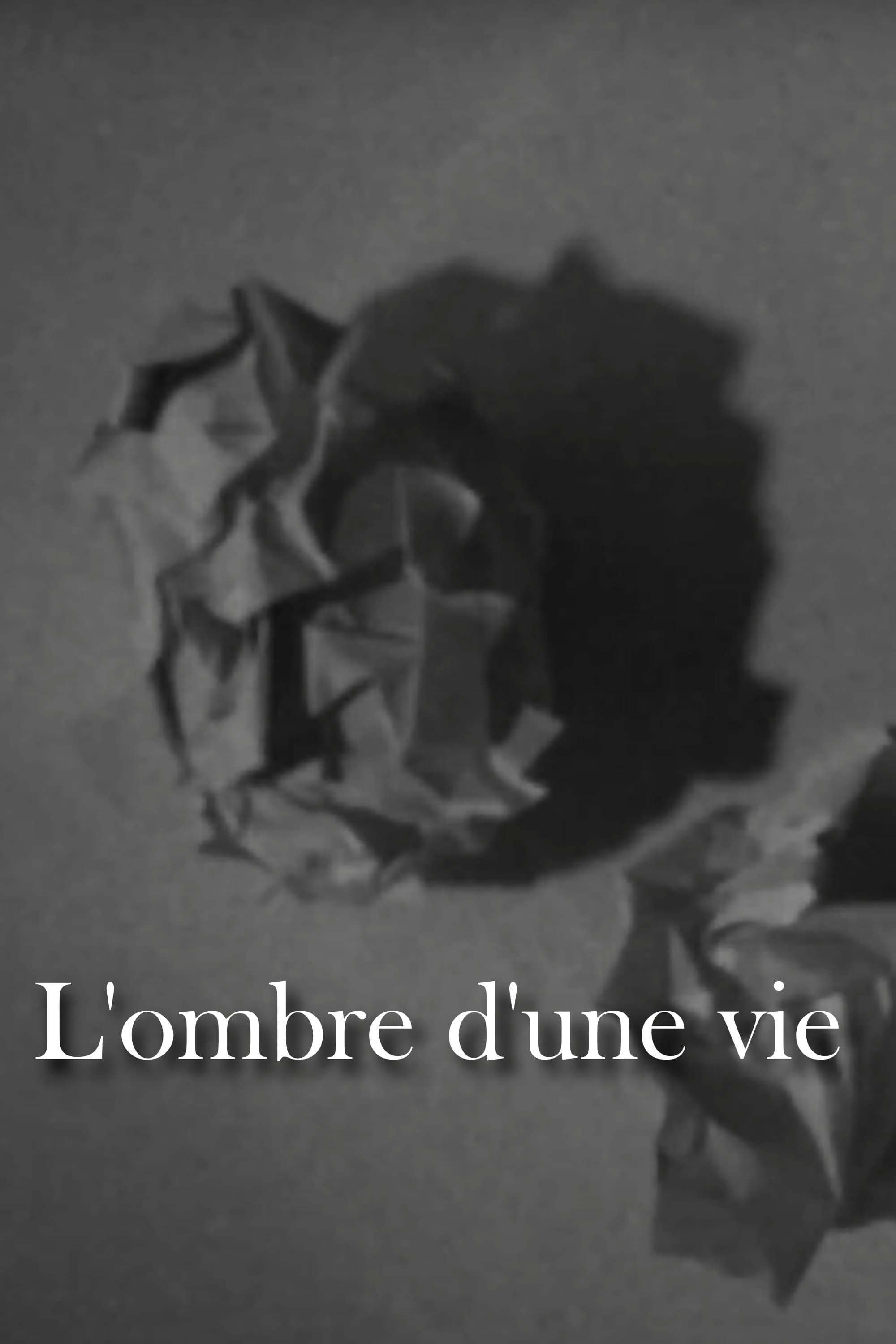 L'ombre d'une vie