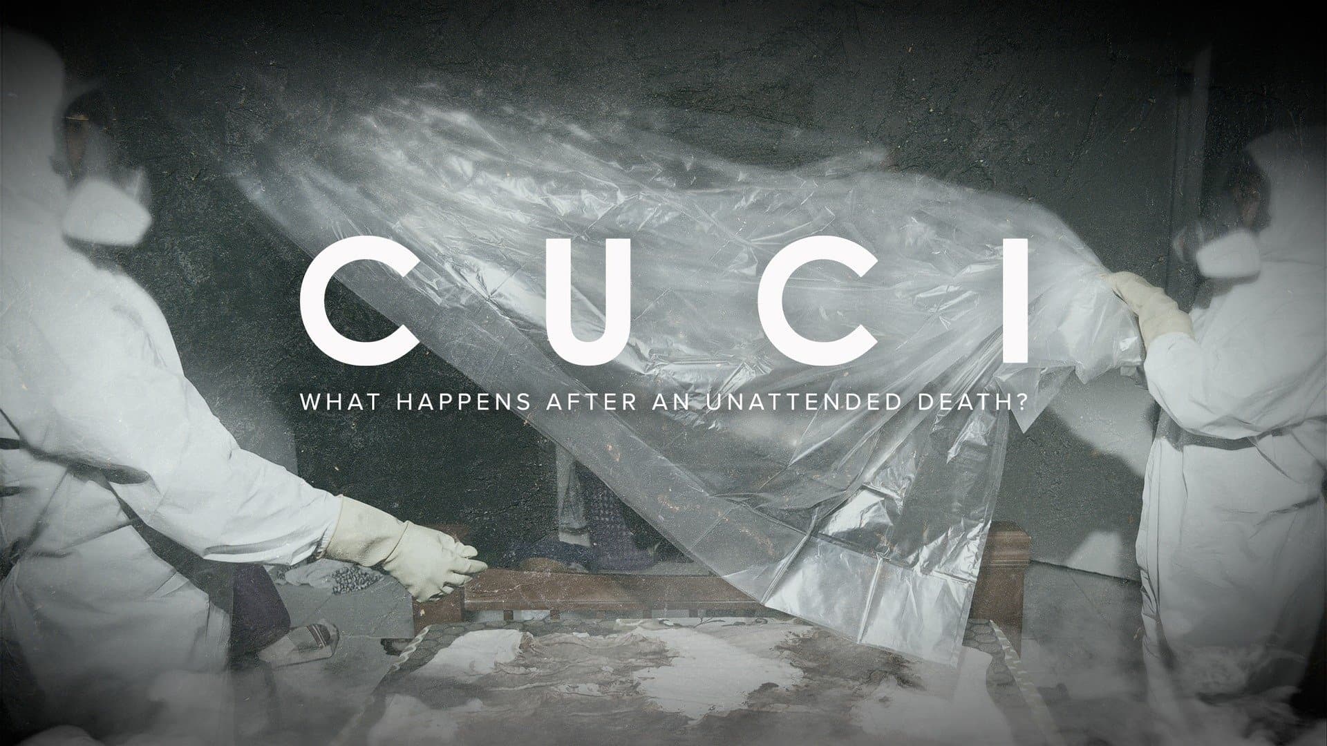 Cuci