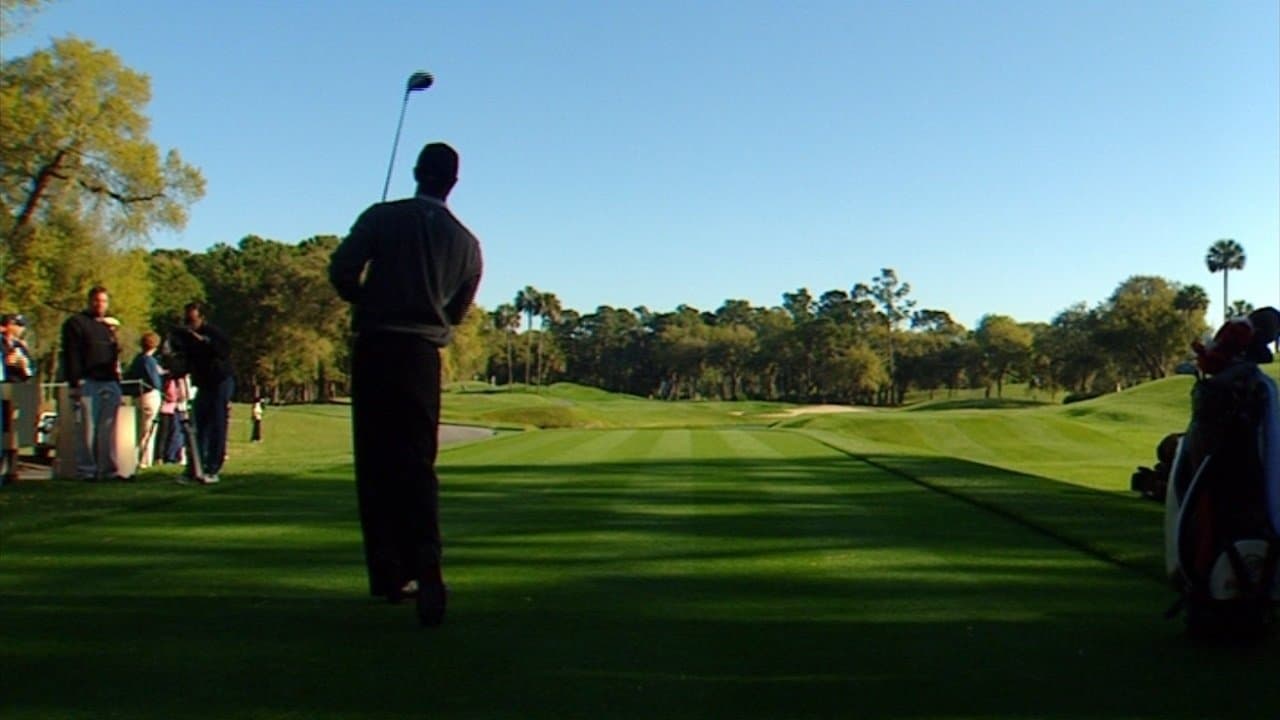 Tiger's Prints - His Legacy