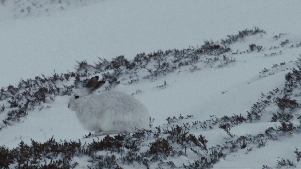 Life Below Zero