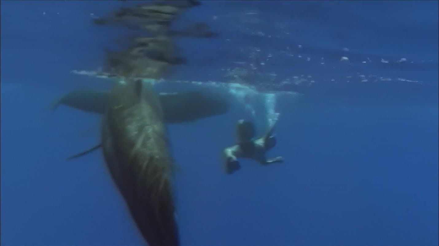 Survival at Sea and Beyond