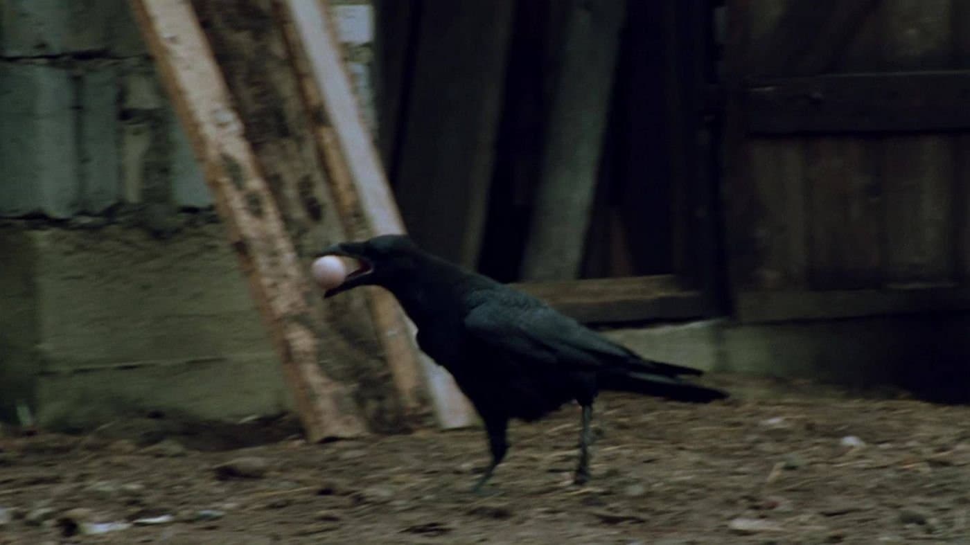 Episode 3